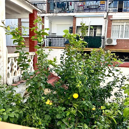 Duplex In Near The Apartment